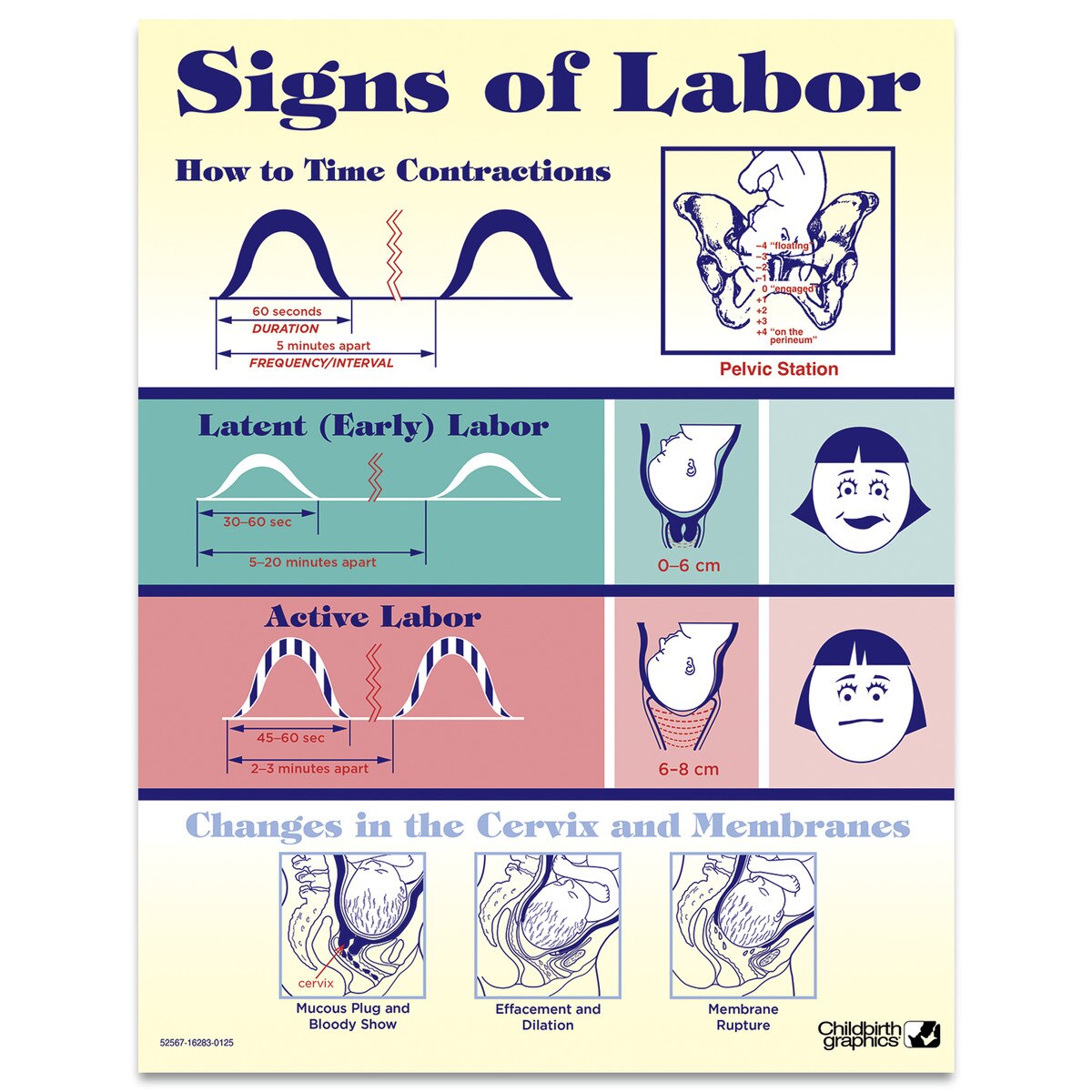 health-education-products-materials-health-edco-us