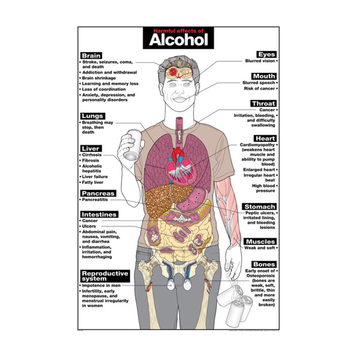 physical effects of alcohol DriverLayer Search Engine