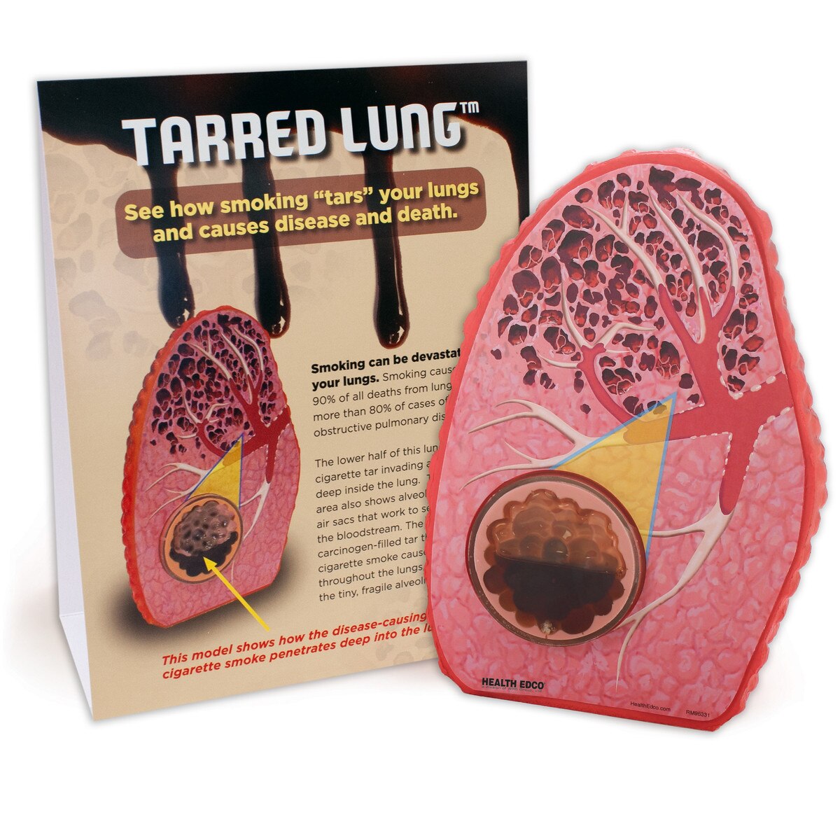 Health Education Products & Materials Health Edco US