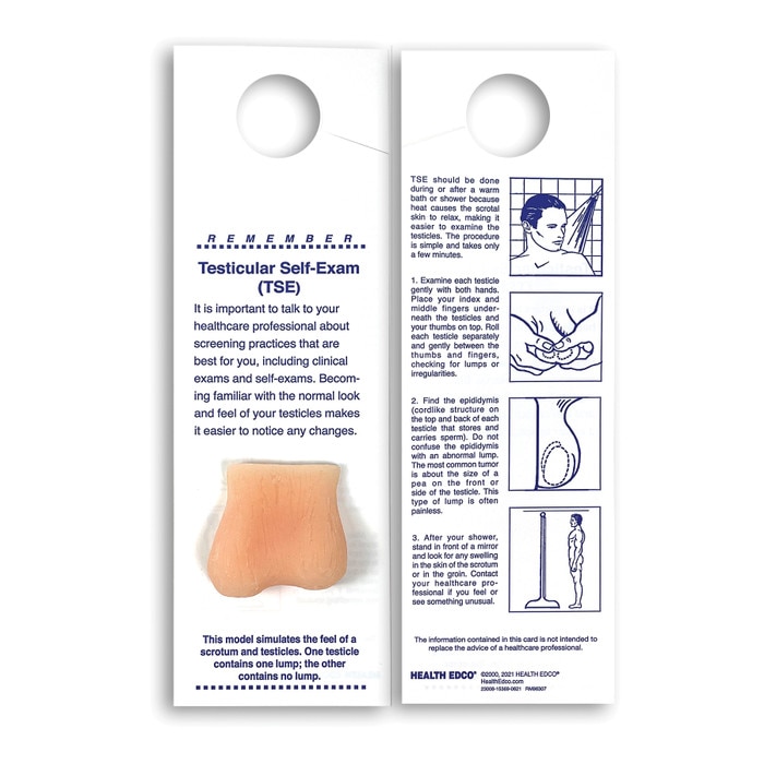 Mini-Testicle Shower Card, men's health education testicular self-exam card with beige testicle model, Health Edco, 23008