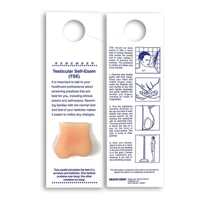 Mini-Testicle Shower Card, men's health education testicular self-exam card with beige testicle model, Health Edco, 23008