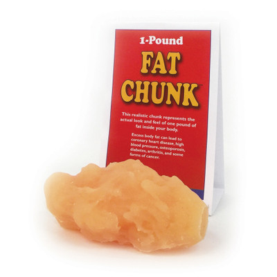 fat chunk model, 1 pound of fat, look and feel of fat, Health Edco, 26016