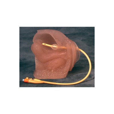 female catheter model for catheter insertion practice, lifelike synthetic tissue, viscoelastic urethra, Health Edco, 26108