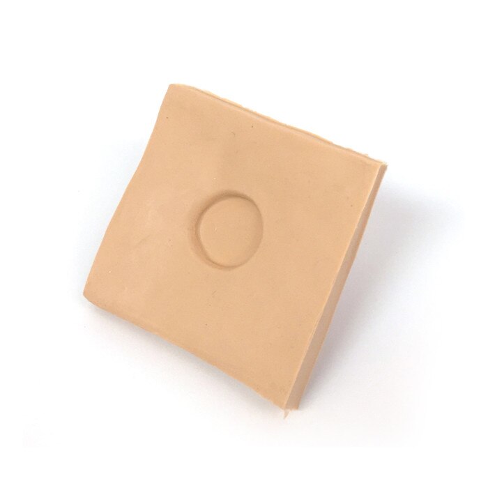 Venous Access Device Model replacement skin door interior view, Health Edco, 26128