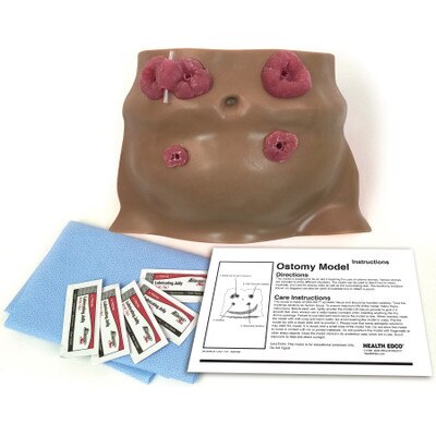 Ostomy Care Model, Brown, for health education and training, brown lifelike torso model with four stomas, Health Edco 26132