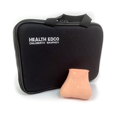 TSE Model, Beige (two lumps in each testicle) with case, health education model for testicular self-exam, Health Edco, 26400