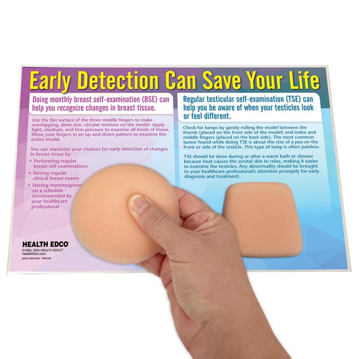 Nonsexual BSE / TSE Model, Health Edco breast self-exam and testicular self-exam palpable health education models, 26420