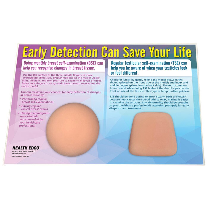 Nonsexual BSE / TSE Model, Health Edco breast self-exam and testicular self-exam palpable health education models, 26420