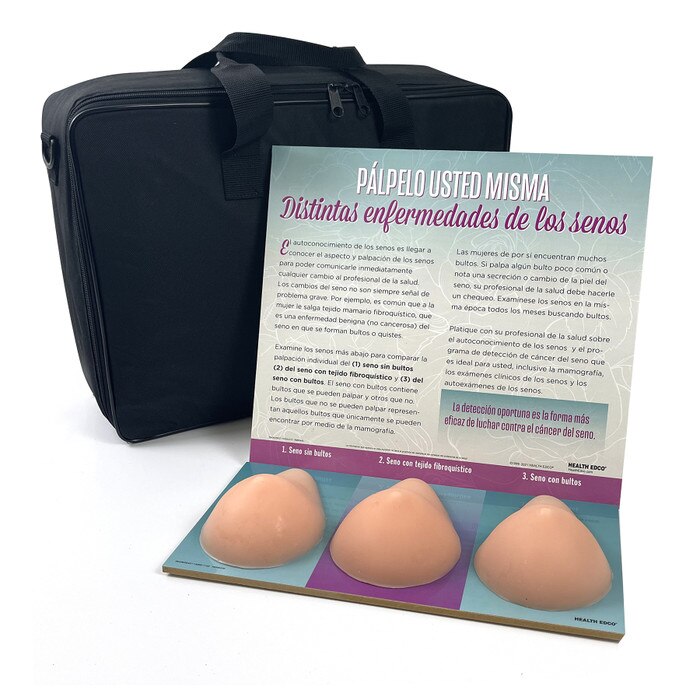 Multi Type BSE Model, Beige, three beige breast health education models with Spanish informational display background, 26426
