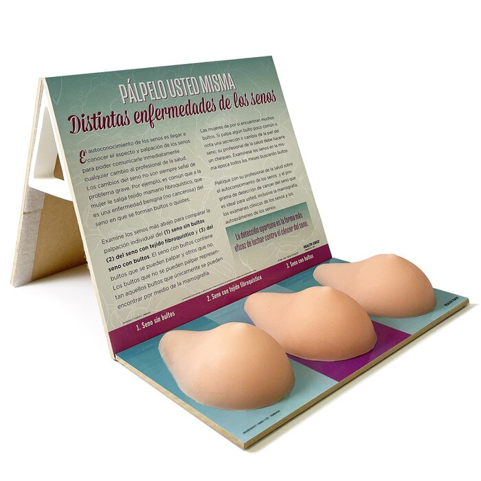 Multi-Type BSE Model shown from side with Spanish display, women's breast health education model, Health Edco, 26426