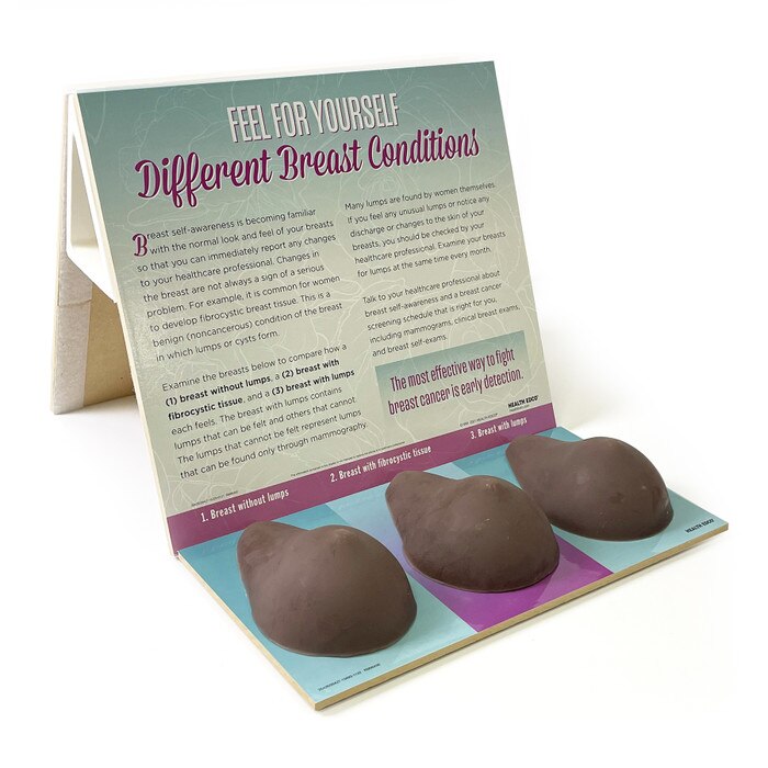 Multi-Type BSE Model, Brown, three brown breast self-exam models for health education in English, Health Edco, 26427