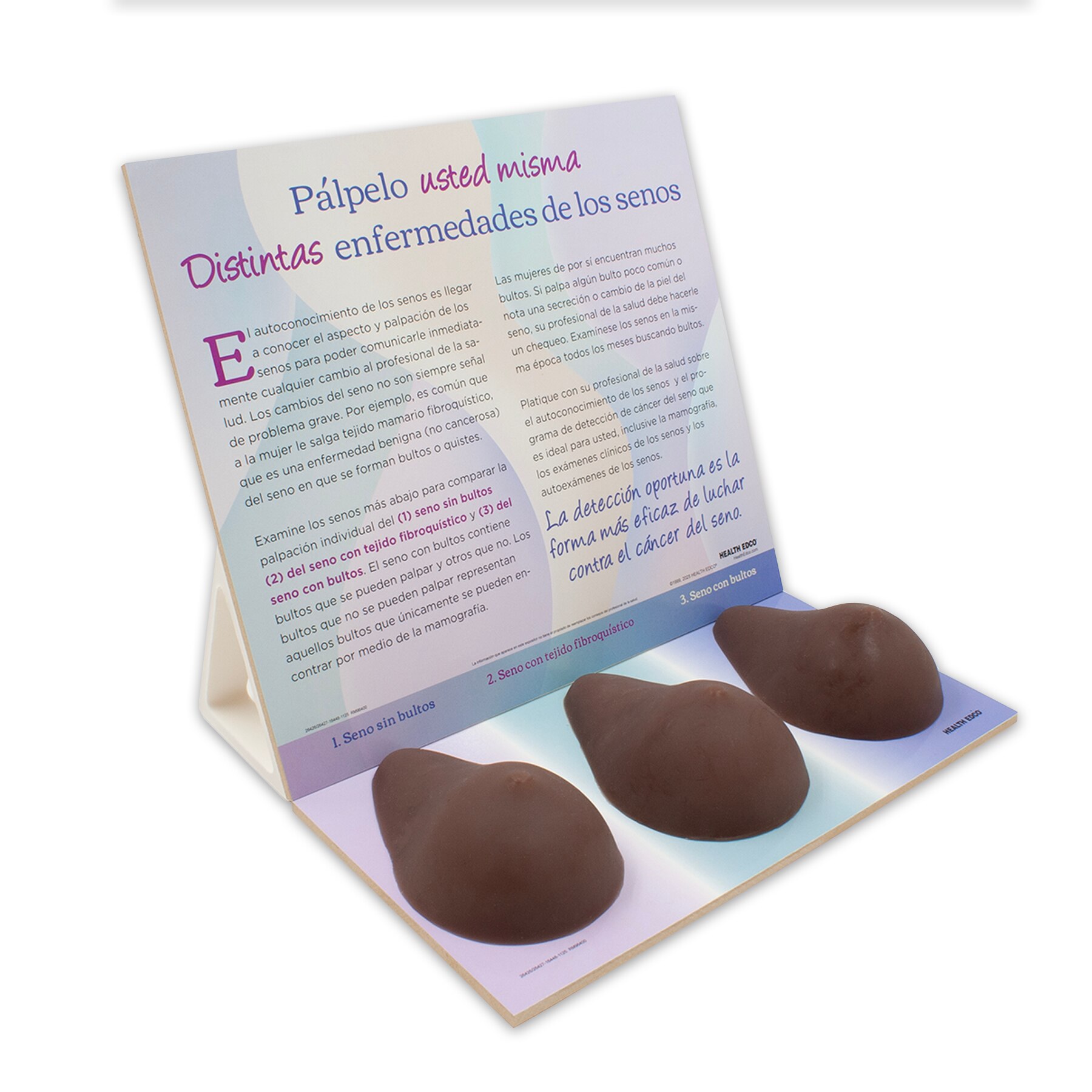 Multi-Type BSE Model, Brown, English-Spanish | Health Edco