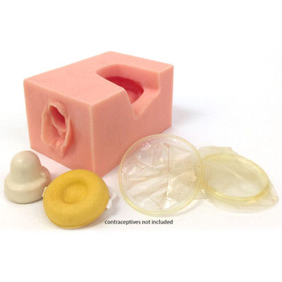 Female Pelvis Contraceptive Model, block of synthetic tissue showing location for proper insertion of female contraceptive devices with cutaway to show cervix, Health Edco, 26462