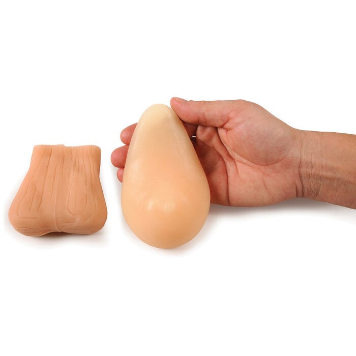 Teen TSE/BSE Model Kit, Beige from Health Edco with testicular self-exam model and hand holding breast self-exam model, 26495
