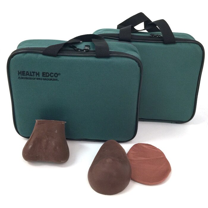 Teen Breast Self-Examination and Testicular Self-Examination models brown version, synthetic realistic feel tissue includes lumps, Health Edco, 26496