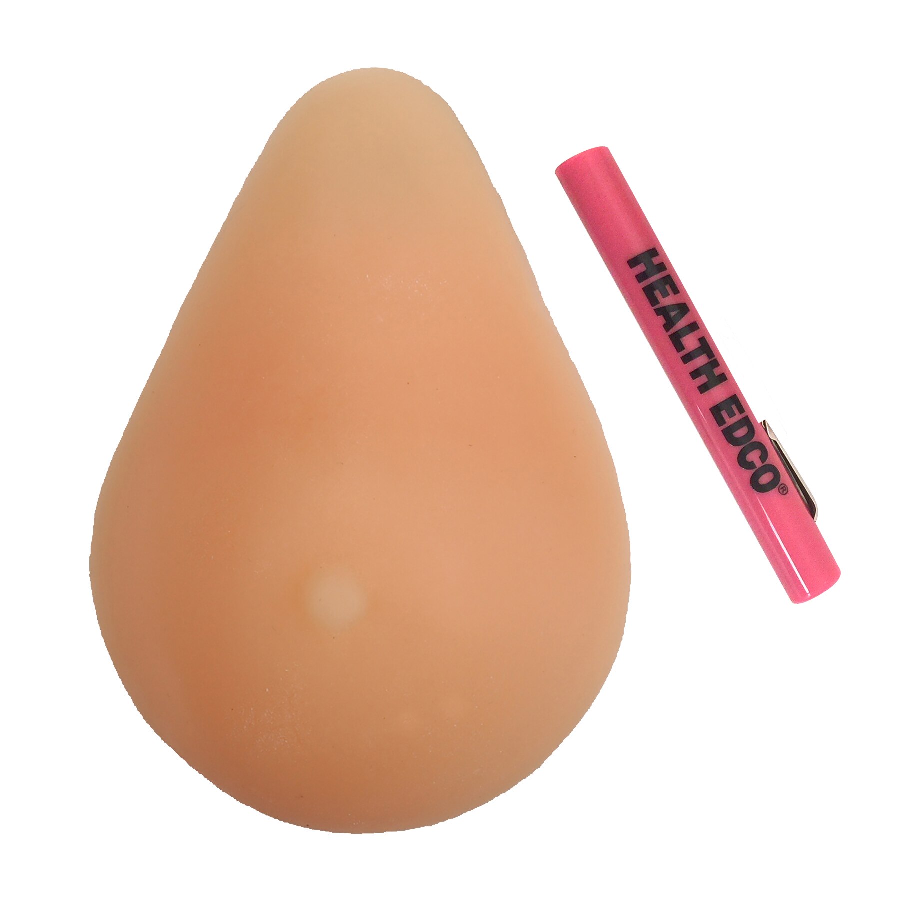 Standard BSE Breast Self-Exam Model, Beige | Health Edco