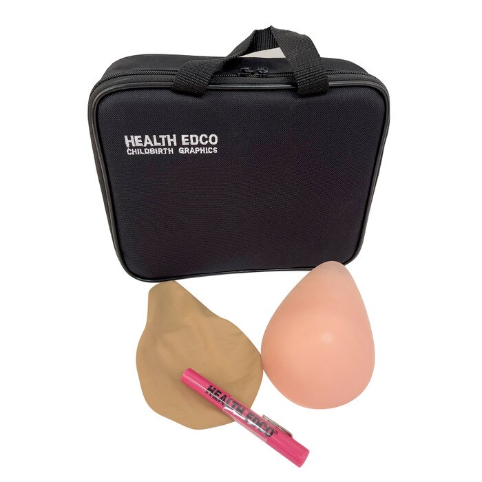 Standard BSE Model in beige with slipcover, penlight, and carrying case, women's health education model, Health Edco, 26500