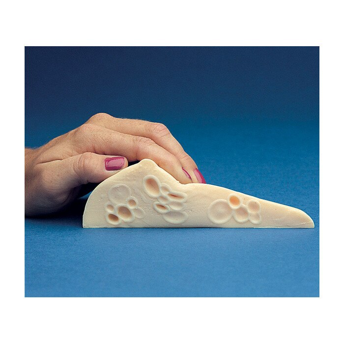 Fibrocystic Breast Self-Exam (BSE) model beige color, photo showing cutaway of cysts, Health Edco, 26505