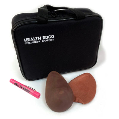 een BSE Model, Brown, breast-self exam model for health education in brown tone with slipcover and case, Health Edco, 26528E