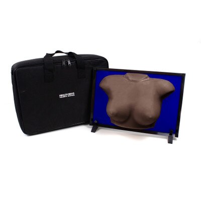 group breast self-examination model, brown version palpable model for group training, breast and underarm tissue, collapsible easel, Health Edco, 26548