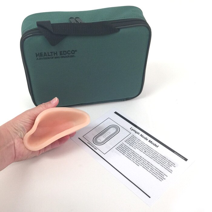 Lymph Node Model, beige lymph node model green carrying case instructions, Health Edco, 26575
