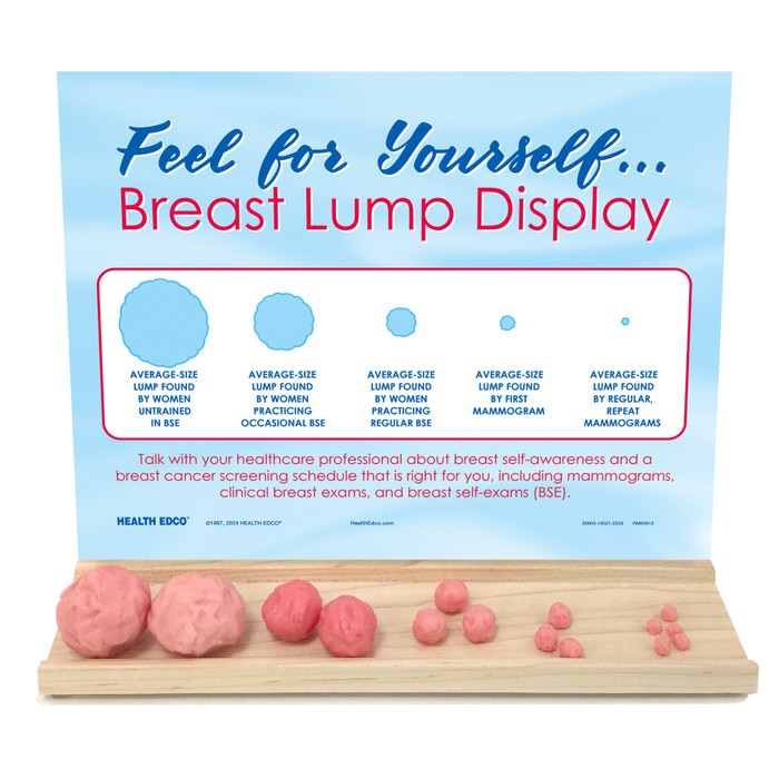 Breast Lump Display, women's health education display, simulated breast lumps for breast health teaching, Health Edco, 26803