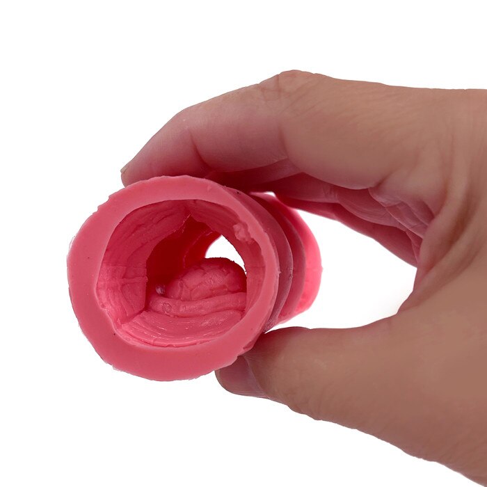 Colorectal Polyp Model being held by hand, health education anatomy models and teaching materials, Health Edco, 26811