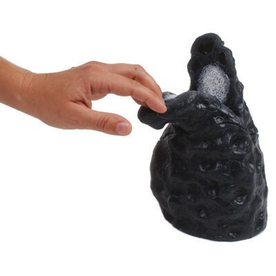 Smoked Lung Model, black small lung, cross-section shows cancer, smoking cessation, prevention, Health Edco, 26813
