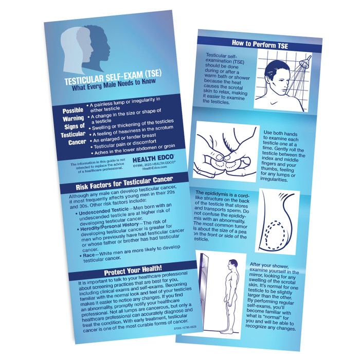 testicular self-examination TSE wallet-sized guide, TSE instructions cancer risk factors warning signs, Health Edco, 37005