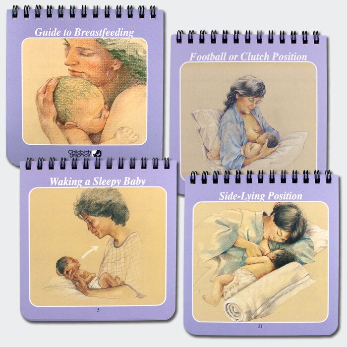 pocket-sized guide to breastfeeding chart set, image of cover and two inside panels, various breastfeeding topics discussed with presentation notes, Childbirth Graphics, 38500