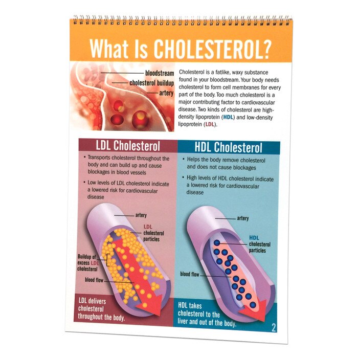 Cholesterol Flip Chart health education resource by Health Edco with panel teaching about LDL and HDL cholesterol, 43117