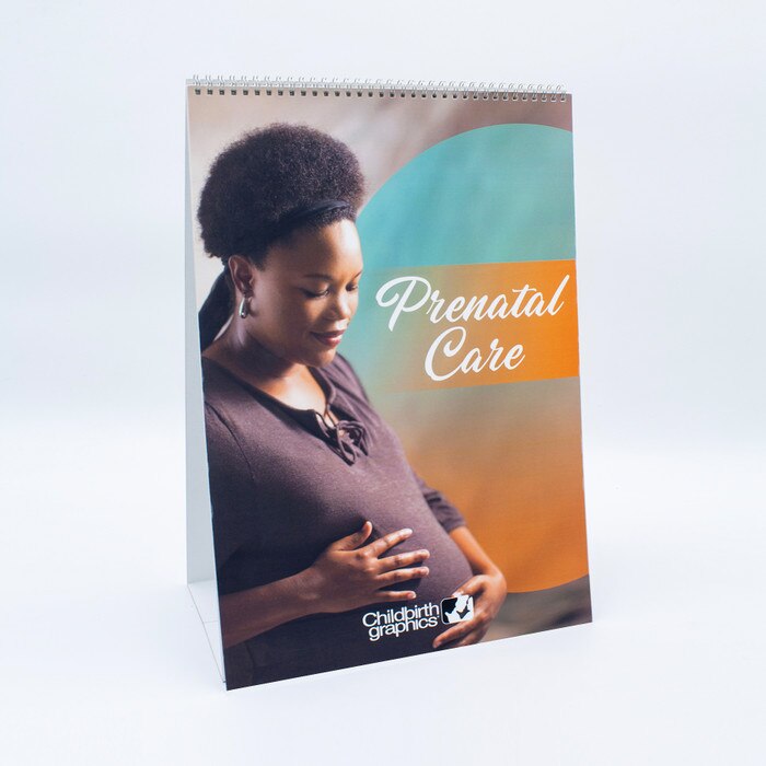 Prenatal Care Flip Chart, colorful six-panel pregnancy education resource to teach prenatal care, Childbirth Graphics, 43125