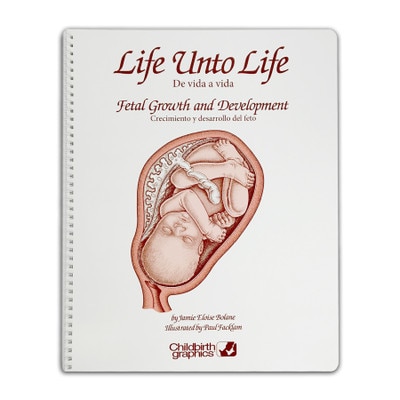 Life Unto Life Spiral-Bound Charts, childbirth education materials to explain fetal development, Childbirth Graphics, 43302