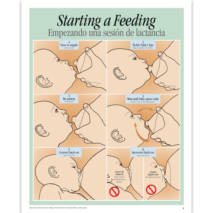 Breastfeeding Basics illustrated English/Spanish spiral-bound chart 6 steps starting a feeding, Childbirth Graphics, 43308