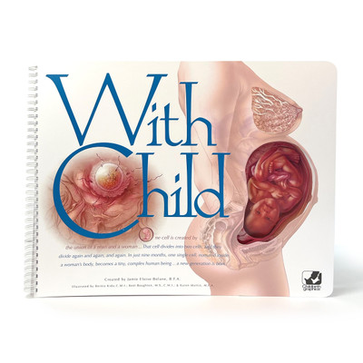 With Child Large-Size Spiral-Bound Charts, Childbirth Graphics childbirth education and prenatal teaching materials, 43313