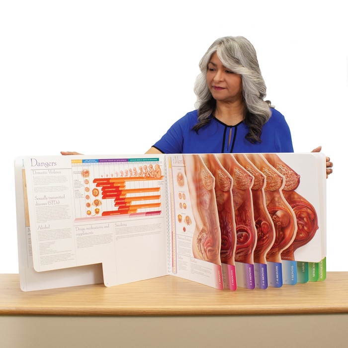 With Child Large-Size Spiral-Bound Charts, Childbirth Graphics childbirth education and prenatal teaching materials, 43313