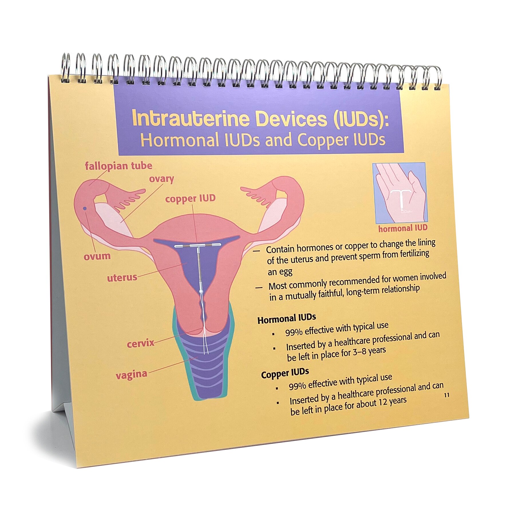 Spiral Bound Flip Chart