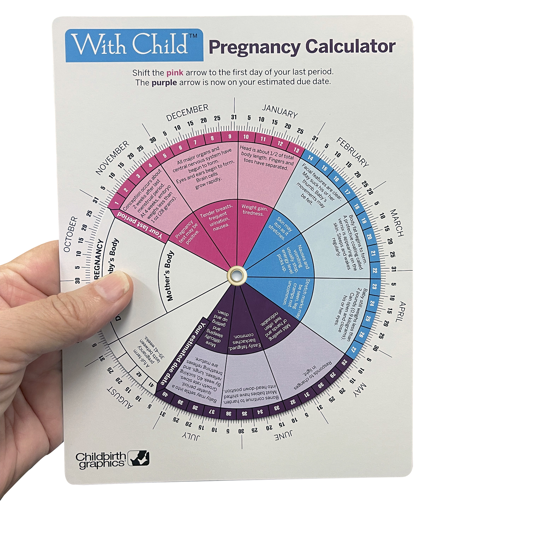 Matron Criticism Upset With Child Pregnancy Calculator | Childbirth Graphics