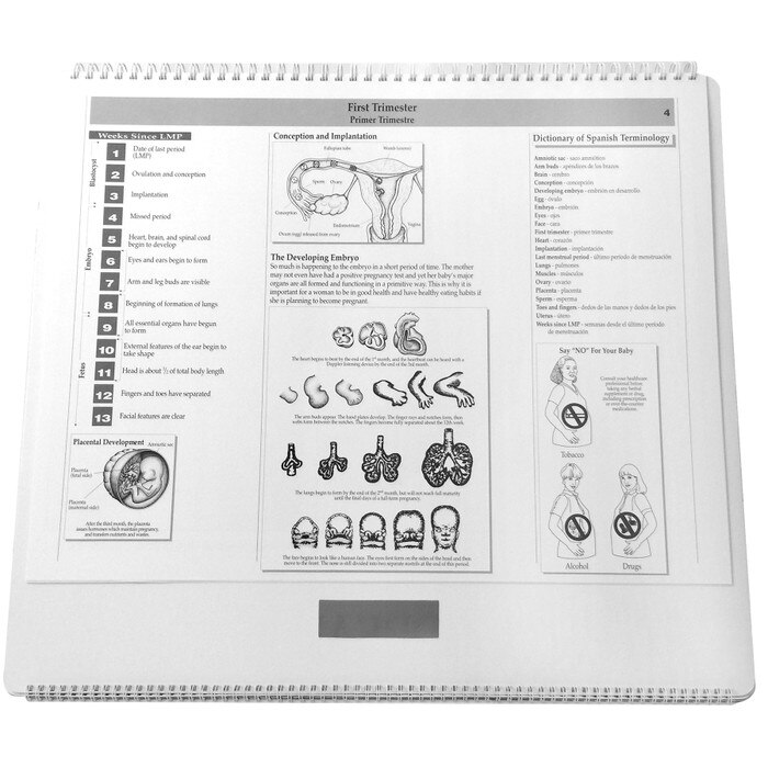 Childbearing illustrated large spiral bound flip chart first trimester day 22 through 12 weeks teaching notes, Childbirth Graphics 50701