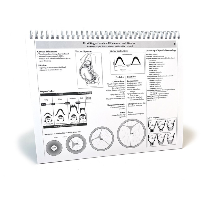 Childbearing: The Classic Series Desk Version Flip Chart, teaching chart back notes on dilation, Childbirth Graphics, 50702