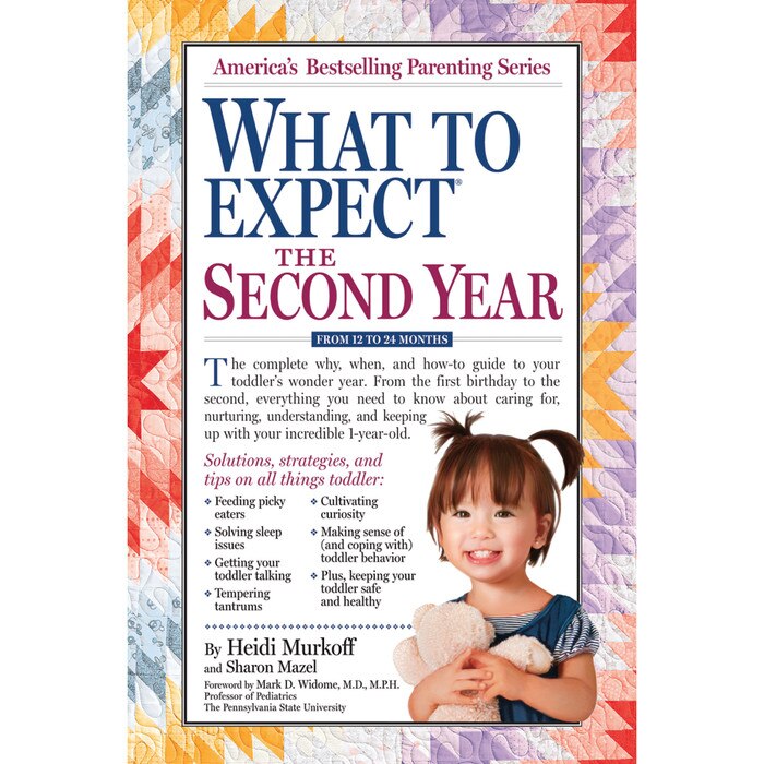What to Expect the Second Year 12-24 months book cover, quilt background with toddler, Childbirth Graphics, 50928