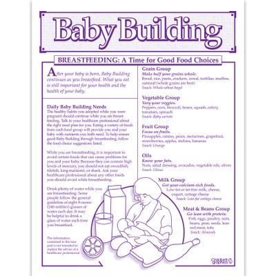 Baby Building 1-color Breastfeeding tear pad English side, good food choices nutritional needs, Childbirth Graphics, 52523