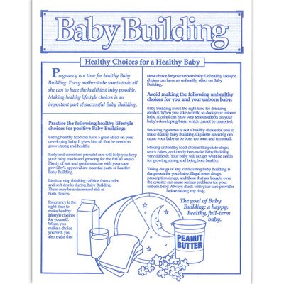 Baby Building Healthy Choices for a Healthy Baby 1-color tear pad, healthy vs unhealthy choices, Childbirth Graphics, 52525