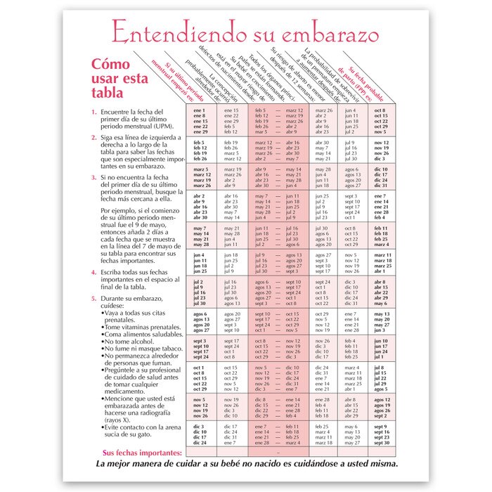Timeline of Pregnancy childbirth education tear pad in Spanish from Childbirth Graphics showing fetal development, 52537