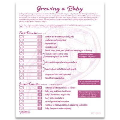 Growing a Baby pregnancy education tear pad from Childbirth Graphics that tracks weekly fetal development in pregnancy, 52597