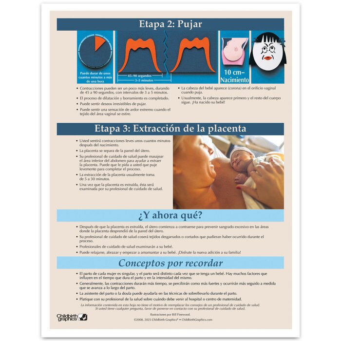 Stages of Labor Tear Pad in Spanish for childbirth education from Childbirth Graphics, childbirth teaching materials, 52604