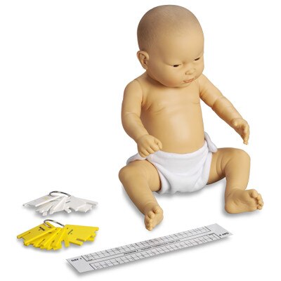 Standard Ready or Not Tot Asian male with control keys and program teacher correction template, Health Edco, 53606