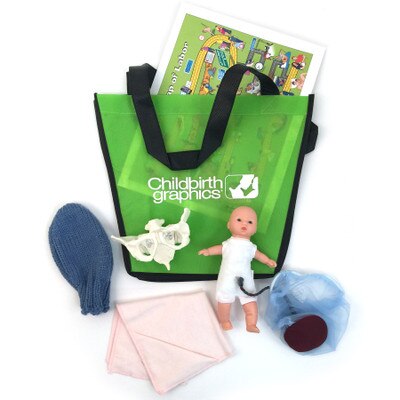 Deluxe Mini-Model Set With Flexible Pelvis from Childbirth Graphics with tear pad, fetal model, pelvis model, and more, 54083