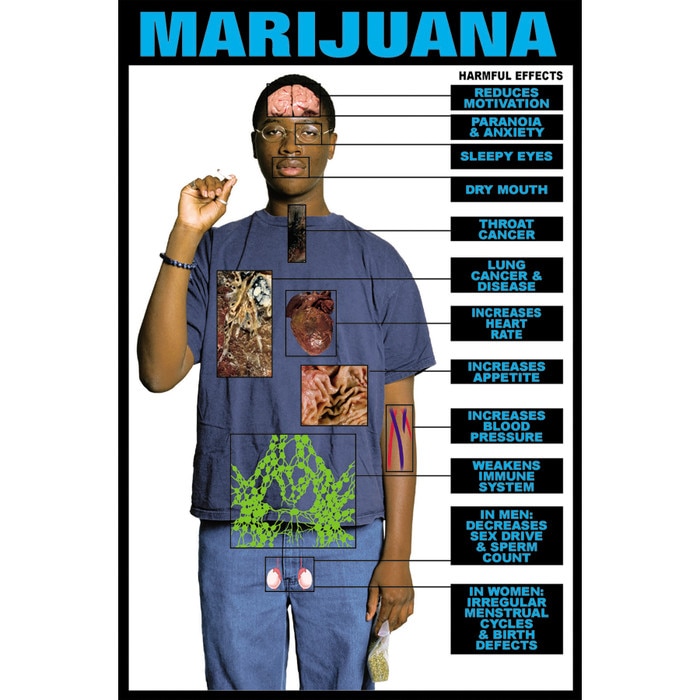 educational harmful effects of marijuana chart health edco effects of drugs on the body chart