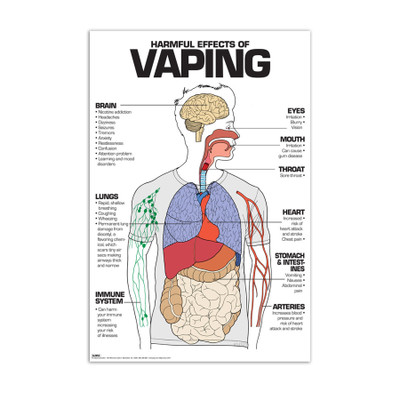 Harmful Effects of Vaping Chart, laminated chart showing harms of vaping to body organs and systems, Health Edco, 70985